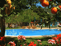Piscina - Solarium