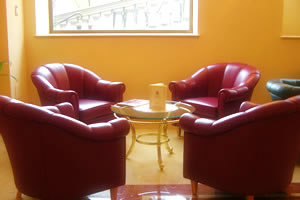 Il salone (particolare)