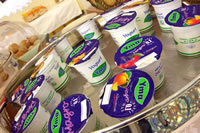 Yogurt