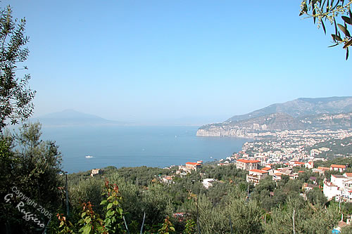 Sorrento ,  veduta panoramica da  Via Nastro  Verde (Foto. G. Ruggiero - riprod. vietata)